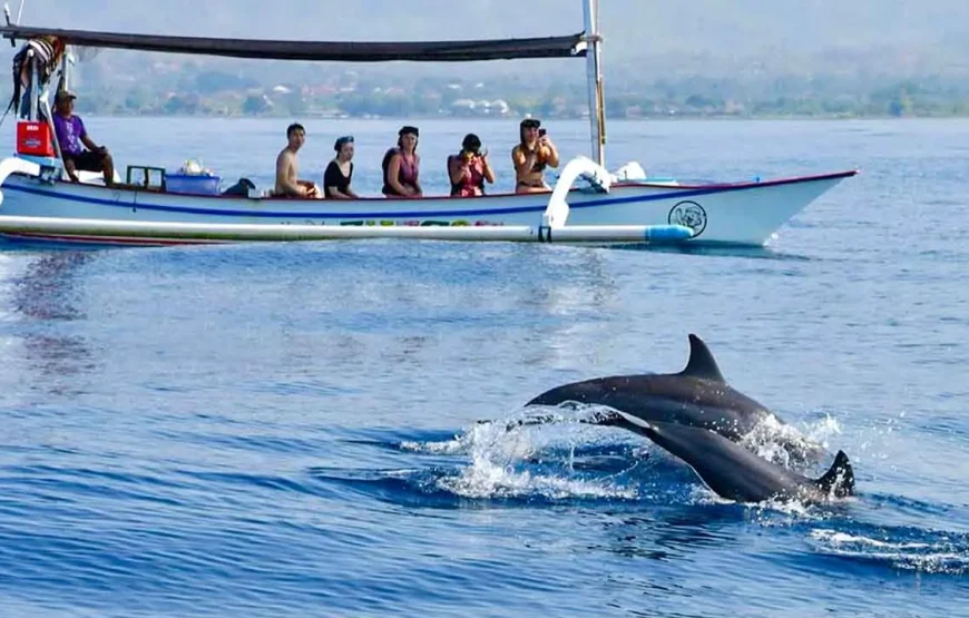 Wild & Wonder Adventure