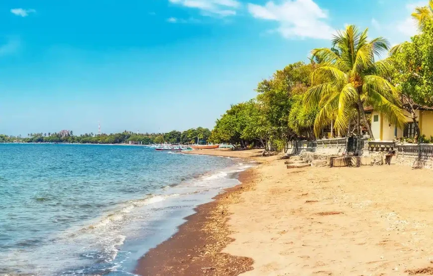 Wild & Wonder Adventure