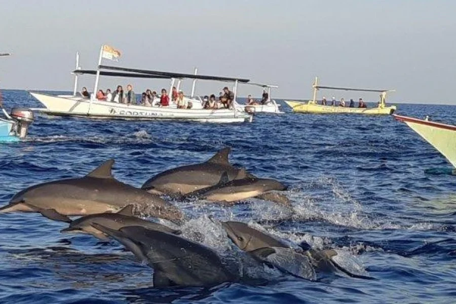 Wild & Wonder Adventure