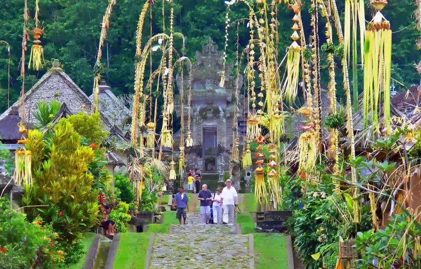 The Zen & Aesthetic Journey